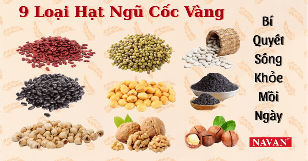 TOP 9 hạt vàng ngũ cốc NAVAN bí quyết sống khỏe
